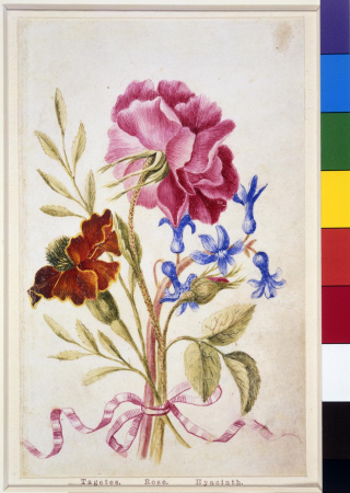 Drawing, album, between 1639 and 1682