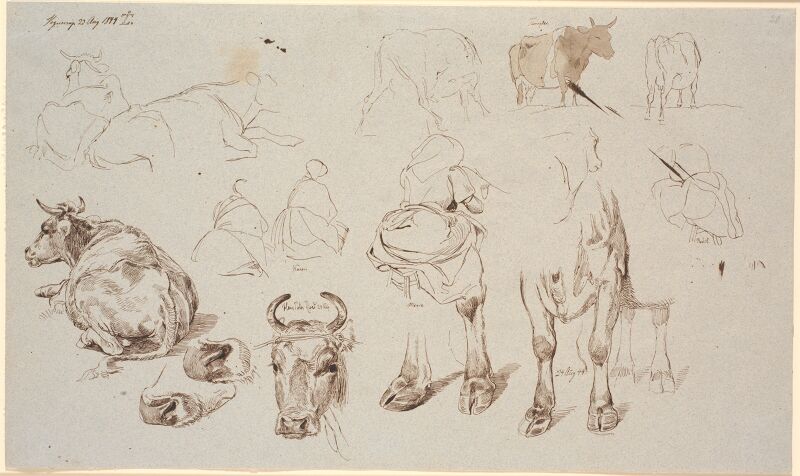 Study magazine from Vognserup. Above studies of cows, in the middle 4 studies of milkmaids seen from the back, Johan Lundbye, 1844