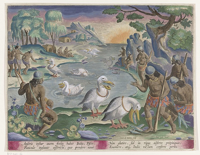 Indians catch fish using pelicans, Stradanus, 1634; 1634