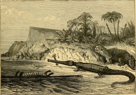 Ridpath's history of the world; being an account of the ethnic origin, primitive estate, early migrations, social conditions and present promise of the principal families of men (1897) (14781105904), Édouard Riou