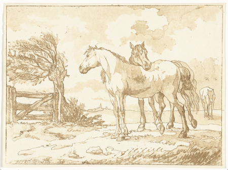 Paarden, RP-P-BI-4016, Dirk Langendijk, between 1778 and 1838