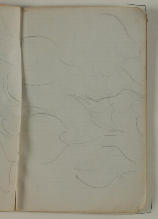 Løse rids, Niels Larsen Stevns