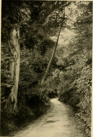 Home and garden; notes and thoughts, practical and critical, of a worker in both (1900) (14781851885)