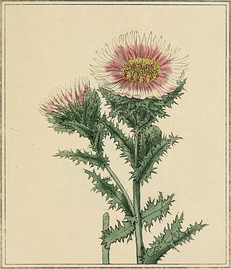 Elements of the science of botany, as established by Linnaeus; with examples to illustrate the classes and orders of his system (1812) (20642354034)