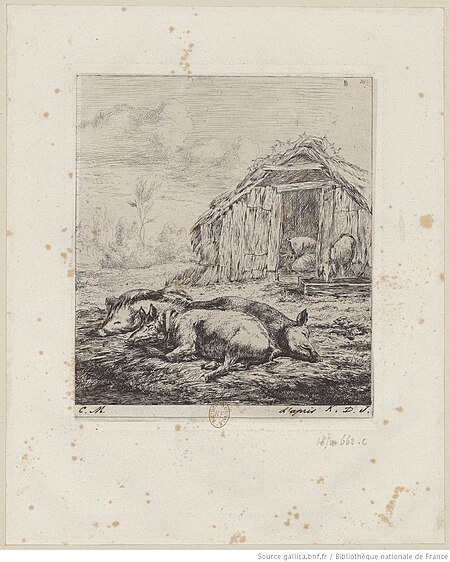 Meryon - Les trois cochons couchés devant l'étable, 2ème état, btv1b55001119v, Charles Méryon