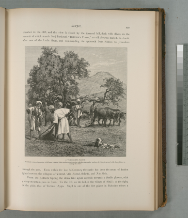 A threshing-floor. Peasants winnowing grain with large wooden forks, and a team dragging a sledge, the under surface of which is armed with sharp flints, to cut up the straw, 1881