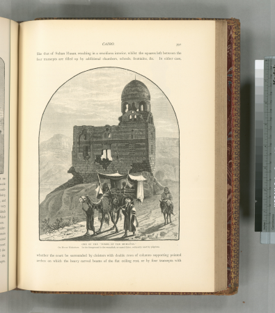 One of the 'Tombs of the Memlûks.' On Mount Mukattam. In the foreground is the musattah, or camel-litter, ordinarily used by pilgrims., 1881