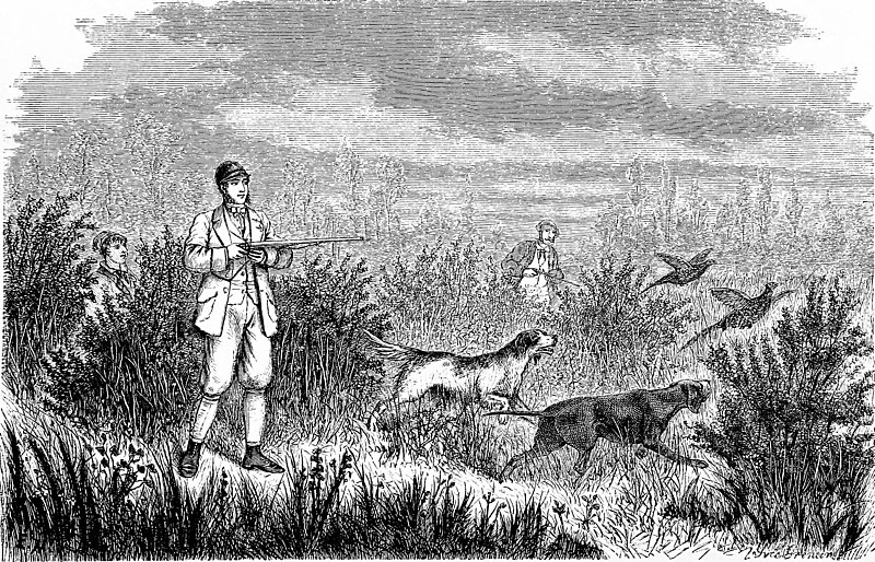 Reptiles and birds. A popular account of the various orders; with a description of the habits and economy of the most interesting (1869) (20178938173), 1869