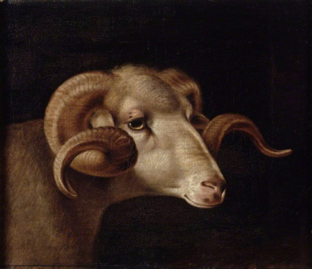 A Corsican Goat's Head, Facing Right, Thomas Weaver, 1808