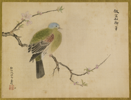 Peach Blossom and Dove, Emperor Huizong of Song