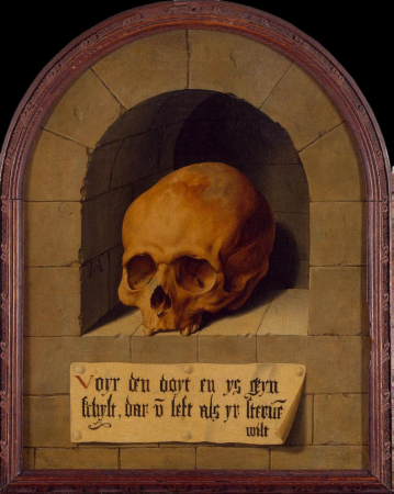 Skull in a Niche, Bartholomaeus Bruyn the Elder