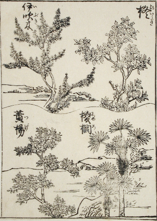 Samples of Four Tree Types for Artists, Ryūryūkyo Shinsai
