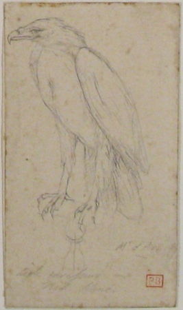 A Golden Eagle, Charles Méryon, after 1859