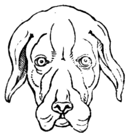 Essay on unconditional signs in art