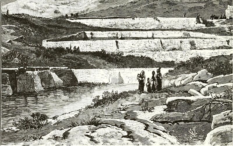 Ridpath's Universal history - an account of the origin, primitive condition and ethnic development of the great races of mankind, and of the principal events in the evolution and progress of the (14761386076), Paul Hardy, 1897