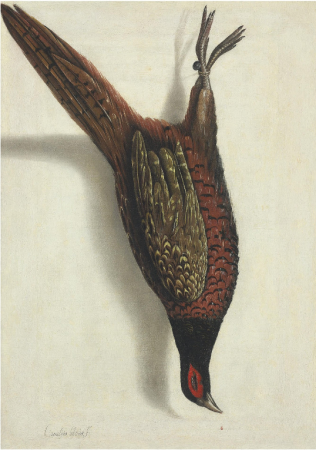 Trompe l'oeil of a hanging pheasant, Cornelis Biltius, between 1673 and 1685