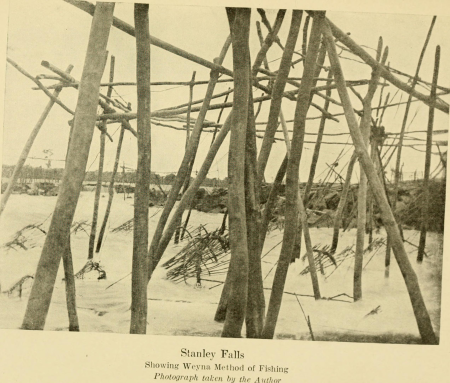 A voice from the Congo - comprising stories, anecdotes, and descriptive notes (1910) (14596999978)