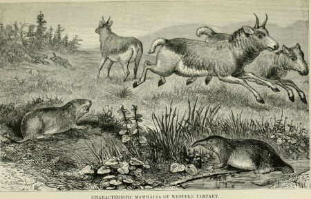 Geographical distribution of animals - with a study of the relations of living and extinct faunas as elucidating the past changes of the earth's surface (1876) (14782196574), 1876