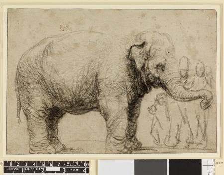 Rembrandt - An Asian elephant; standing to right, a few spectators at right background. c.1637, Gg,2.259, Rembrandt