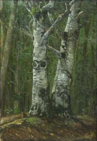 Beech forest in summer, Ion Andreescu