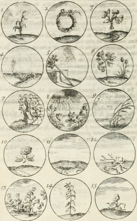 Livre curieux et utile pour les sçavans et artistes - composé de trois alphabets de chiffres simples, doubles and triples, fleuronnez et au premier trait - accompagné d'un tres grand nombre de (14560385927), 1685