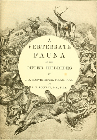 The birds of Berwickshire; with remarks on their local distribution migration, and habits, and also on the folk-lore, proverbs, popular rhymes and sayings connected with them (1889) (14752509831), John Guille Millais