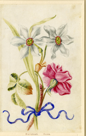 Drawing, album, between 1639 and 1682