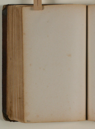 Blank, Niels Larsen Stevns