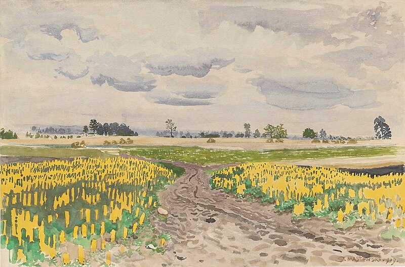 Łubin - Droga polna (Lupin - A Cart way), Stanisław Masłowski, 1909