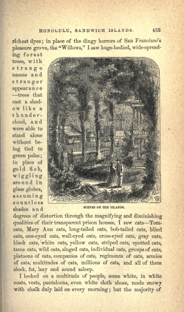 Roughing It, True Williams