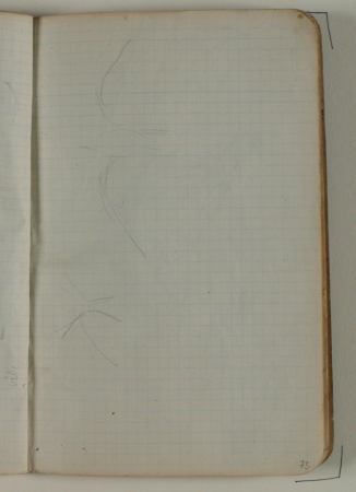 Løse rids, Niels Larsen Stevns