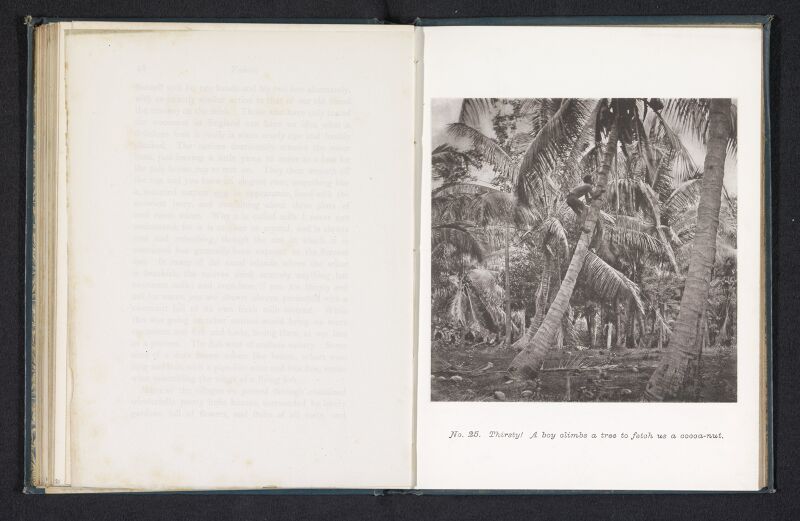 Jongen die in een kokospalm klimt op Tahiti Thirsty A boy climbs a tree to fetch us a cocoa-nut (titel op object), RP-F-2001-7-688-22, 1880