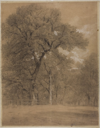 Edge of a Forest by Constant Troyon, Constant Troyon, circa 1810 to 1865