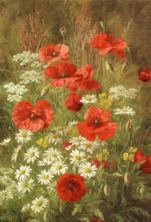 Poppies and daisies in nature., Anthonore Christensen, between 1867 and 1926