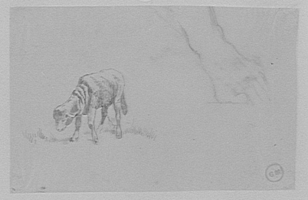 Study of a reversed lamb for The Wolf and the Lamb, Gustave Moreau