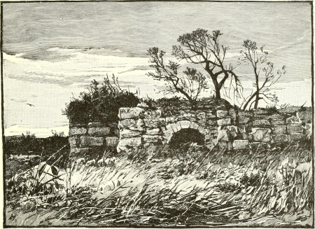 Ridpath's Universal history - an account of the origin, primitive condition and ethnic development of the great races of mankind, and of the principal events in the evolution and progress of the (14597791359), Paul Hardy, 1897