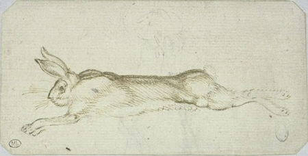 Dead hare, lying on its right side in the running position. Rose, Pisanello