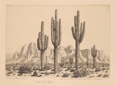 Desert Sentinels, Apache Trail, Arizona, George Elbert Burr, circa 1930