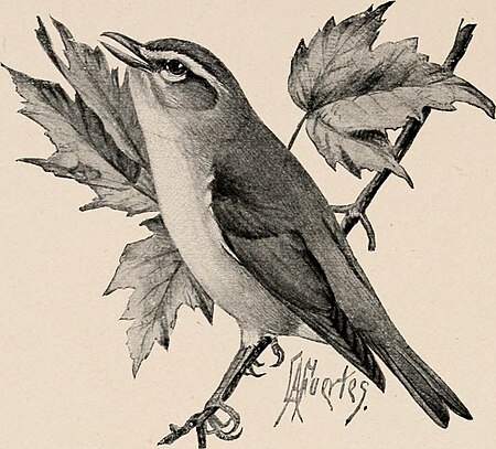 Image from page 309 of "Introduction to zoology; a guide to the study of animals, for the use of secondary schools;" (1900) (14598463369), Louis Agassiz Fuertes