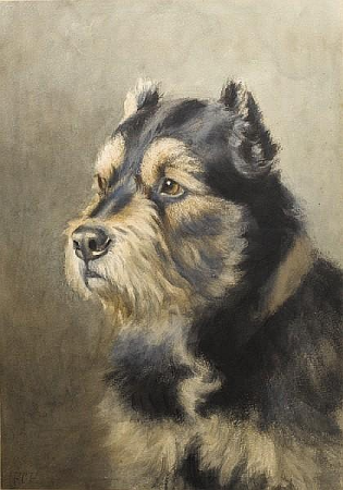 Portrait of a Welsh Terrier by Frances C. Fairman, Frances C. Fairman, 5 June 1877