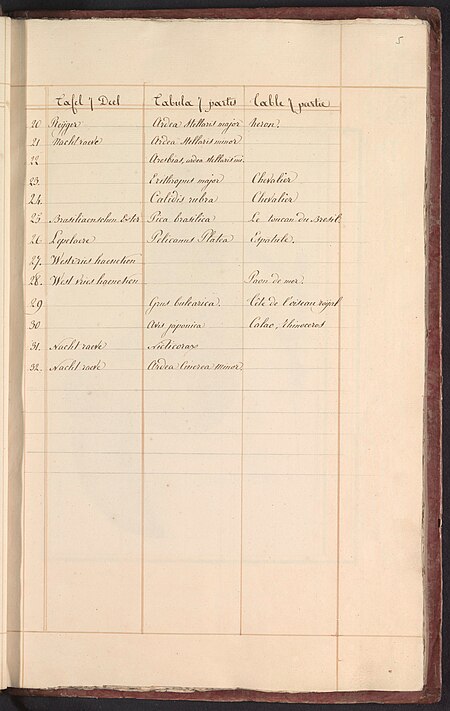 Lijst van vogels in het zevende deel van de vogels Tafel 7 Deel Tabula 7 partis Table 7 partie (titel op object), RP-T-BR-2017-1-5-5(R), between 1809 and 1814