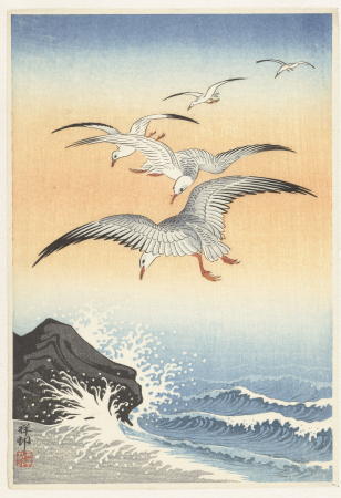 Vijf zeemeeuwen boven onstuimige zee, RP-P-2005-475, Ohara Koson, between 1900 and 1930