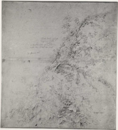 Rubens - RKDimages, 264839, Peter Paul Rubens