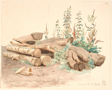 Some felled tree trunks, a water trough and various plant growths, Johan Lundbye, 1847