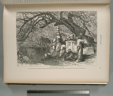 The Lower Pool of Siloam. The old mulberry-tree, supported by stones, is said to mark the spot where the Prophet Isaiah was sawn asunder, in the presence of King Manasseh, 1881
