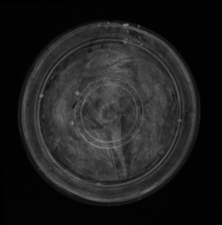 Portrait of a Man in a Red Cap, Hans Holbein the Younger, between 1532 and 1535