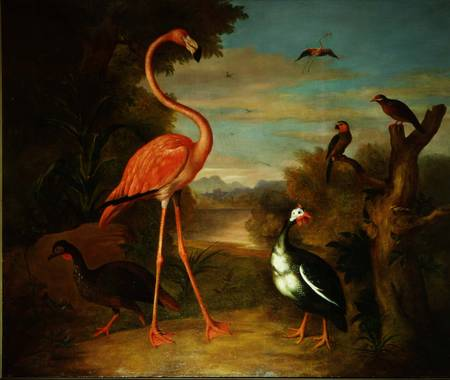 Flamingo and Other Birds in a Landscape, Jakob Bogdani, before 1724