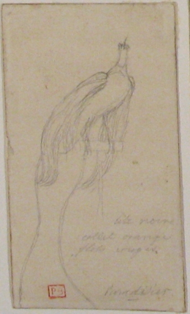 A Bird of Paradise, Charles Méryon, 1835–68