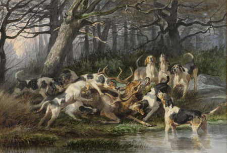 Jules Bertrand Gélibert - A pack of hounds with a stag, Jules Gélibert, before 1916