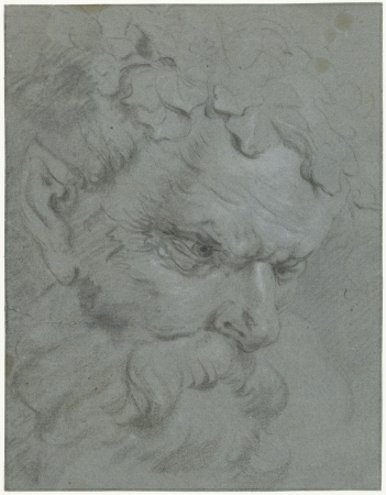 Bacchuskop, omlaag kijkend naar rechts, RP-T-1898-A-3609(R), Anthony van Dyck, between 1610 and 1641